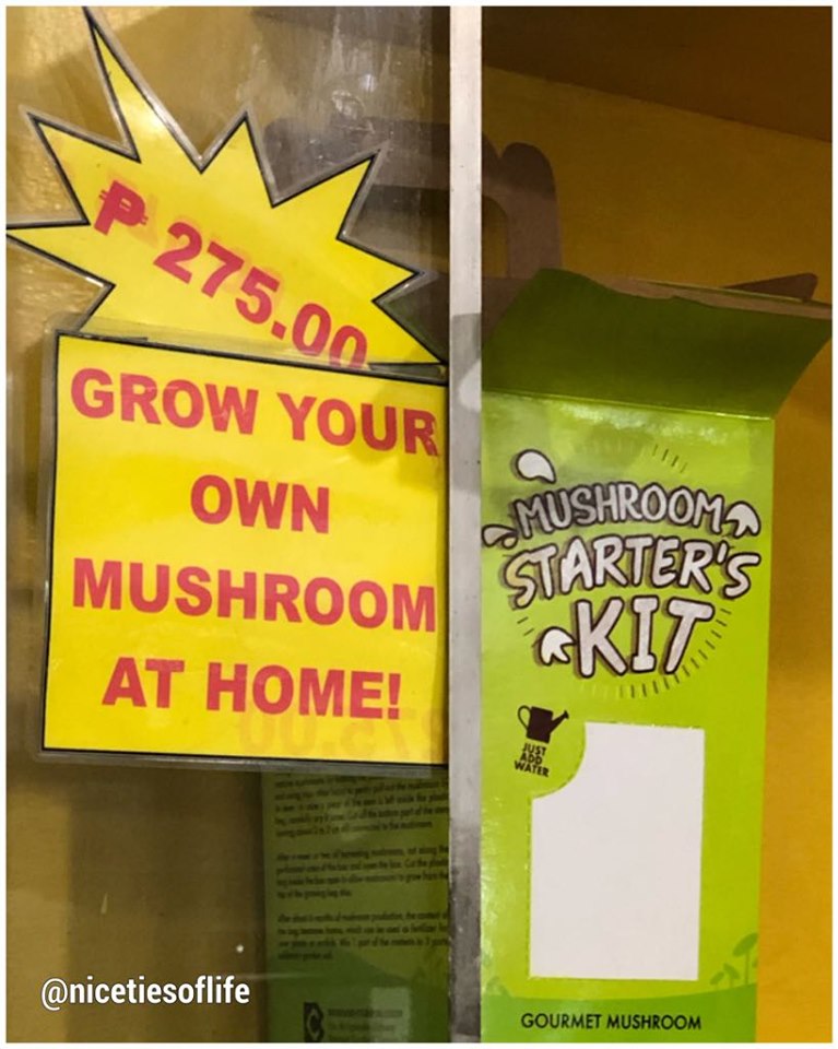 78834034_691445571383840_4953147532050956288_n