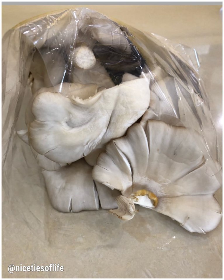 79262170_2201657600136910_6748118857308700672_n