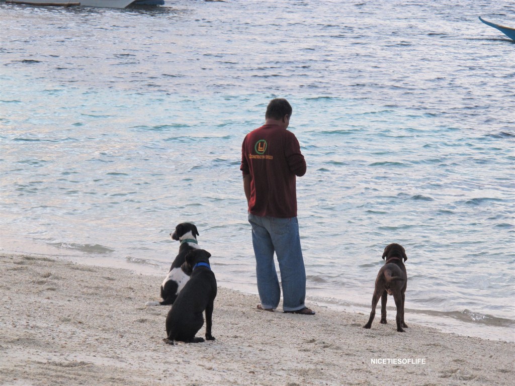 View of the island from the boat
