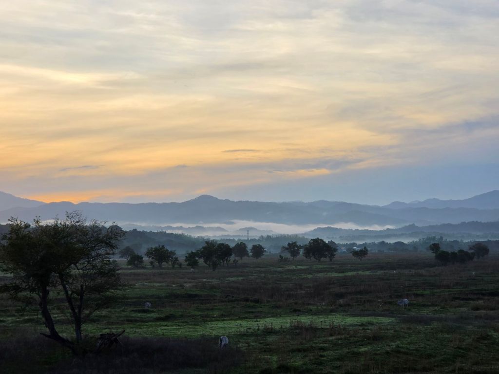 A serene landscape featuring rolling hills in the background, shrouded in mist with a colorful sunrise casting soft light across the scene. The foreground includes sparse trees and grassland, creating a peaceful, natural setting.