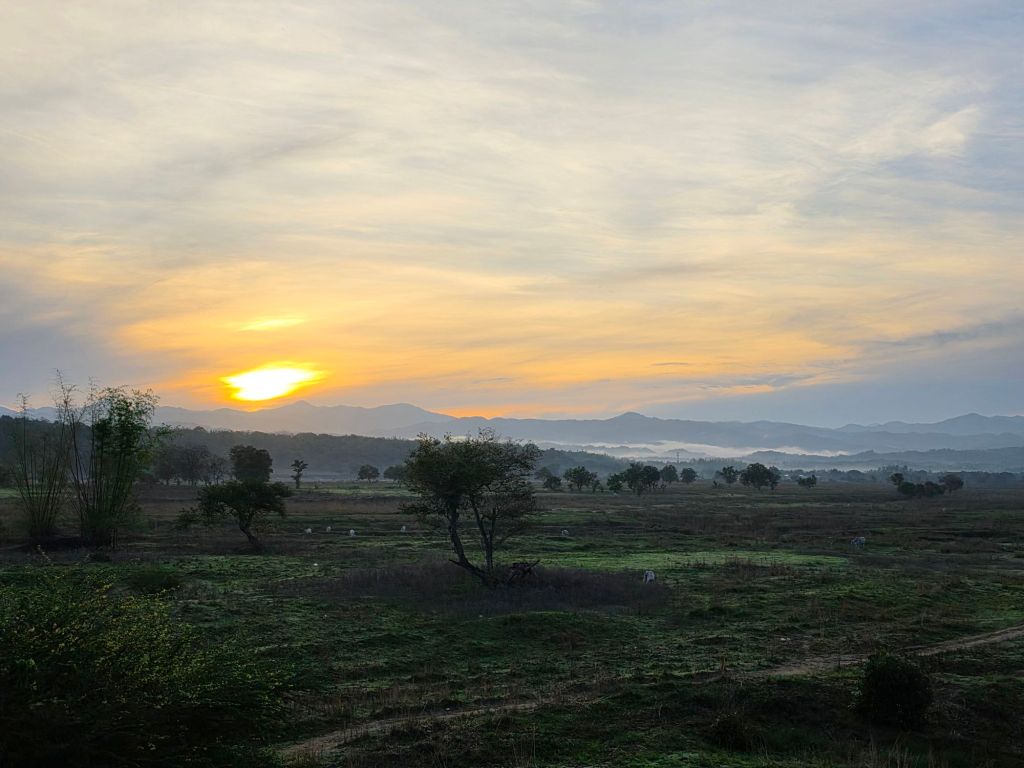 A serene landscape featuring a sunrise over rolling hills, with a grassy field in the foreground and a few scattered trees. The sky is painted in soft hues of orange and blue, creating a tranquil atmosphere.