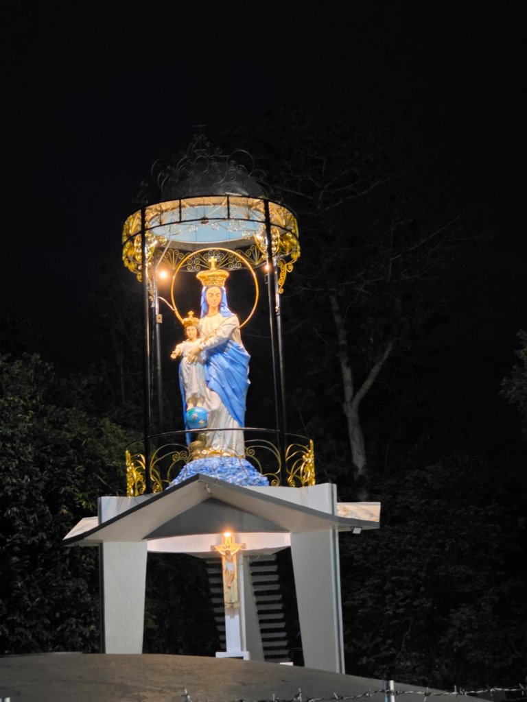 A illuminated statue of the Virgin Mary holding the infant Jesus, displayed in a gazebo-like structure at night, surrounded by trees.
